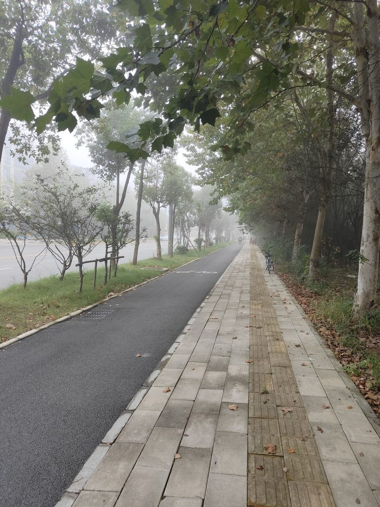 清晨的大雾