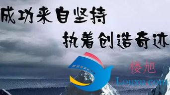 如果是一个不是很聪明或者很笨的人