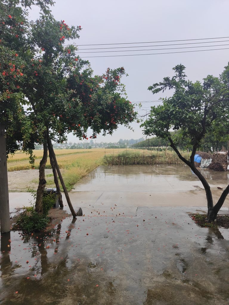 又下雨