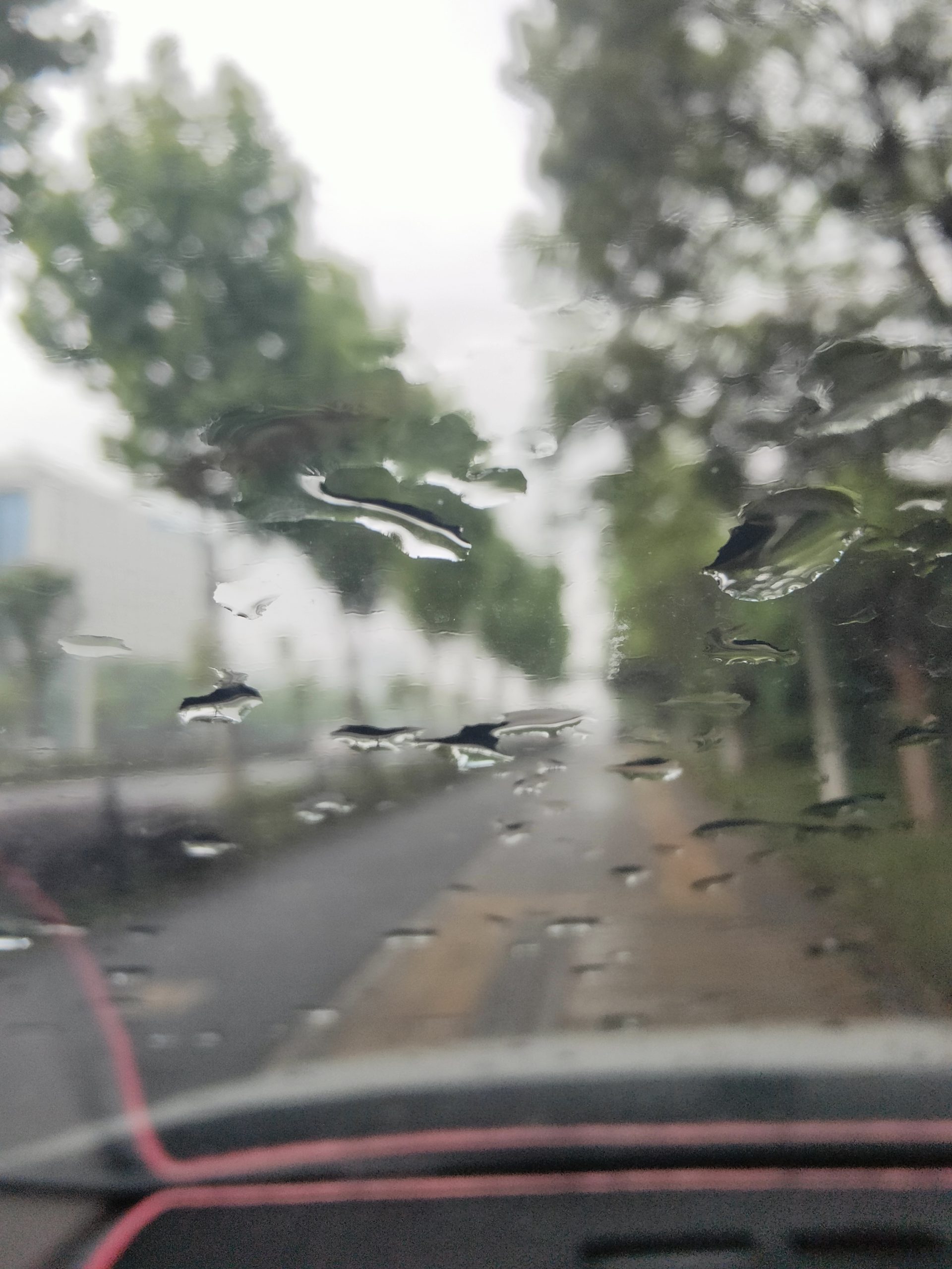 也只能停这了