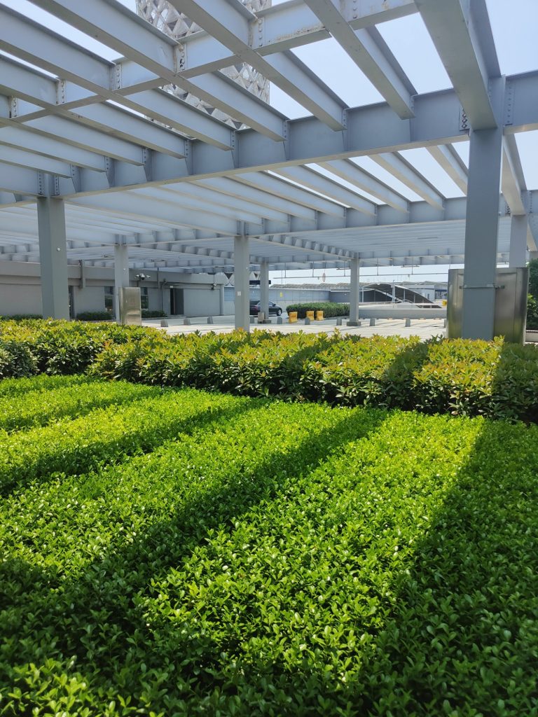 到青岛了