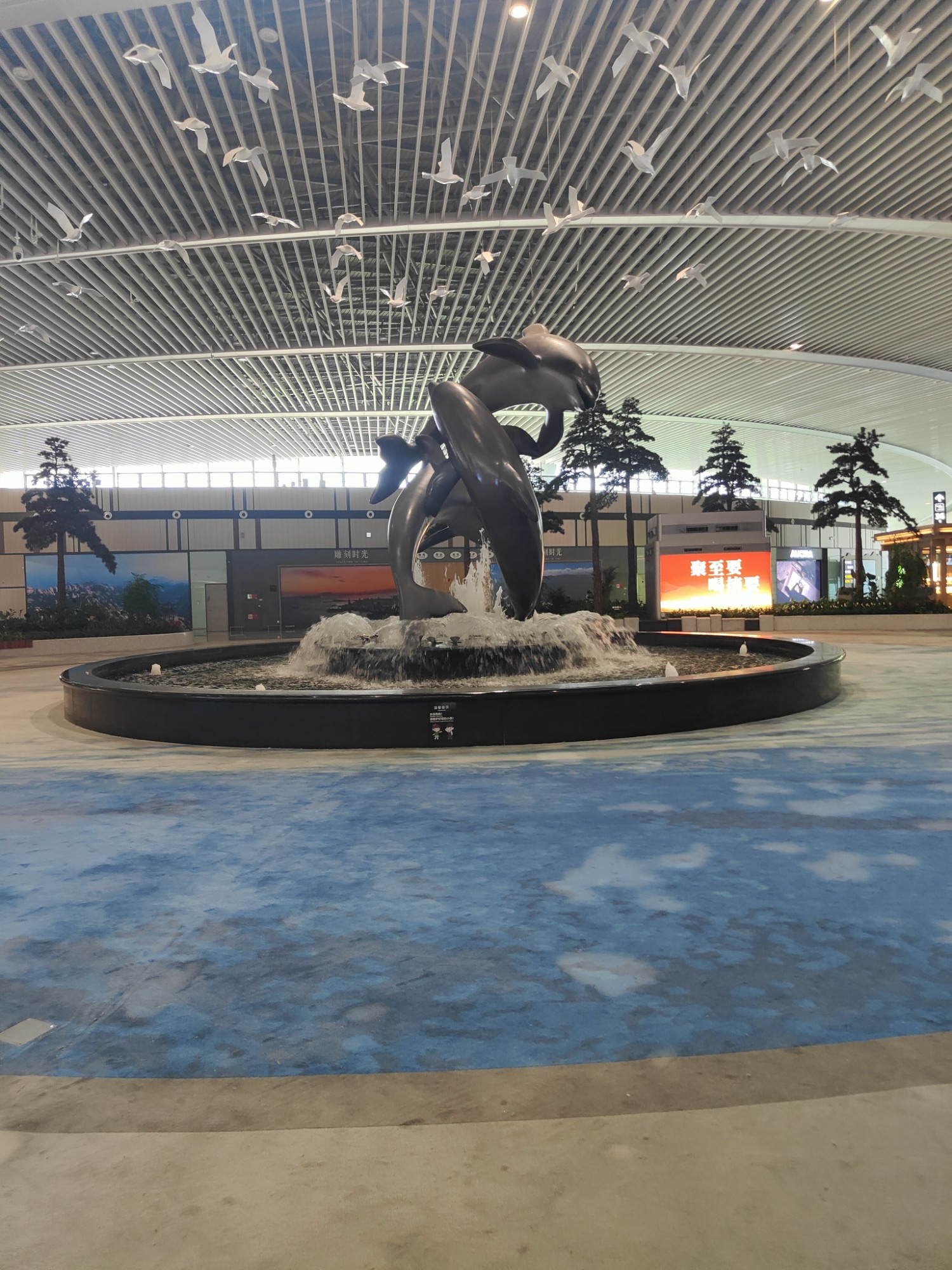 青岛机场 青岛机场