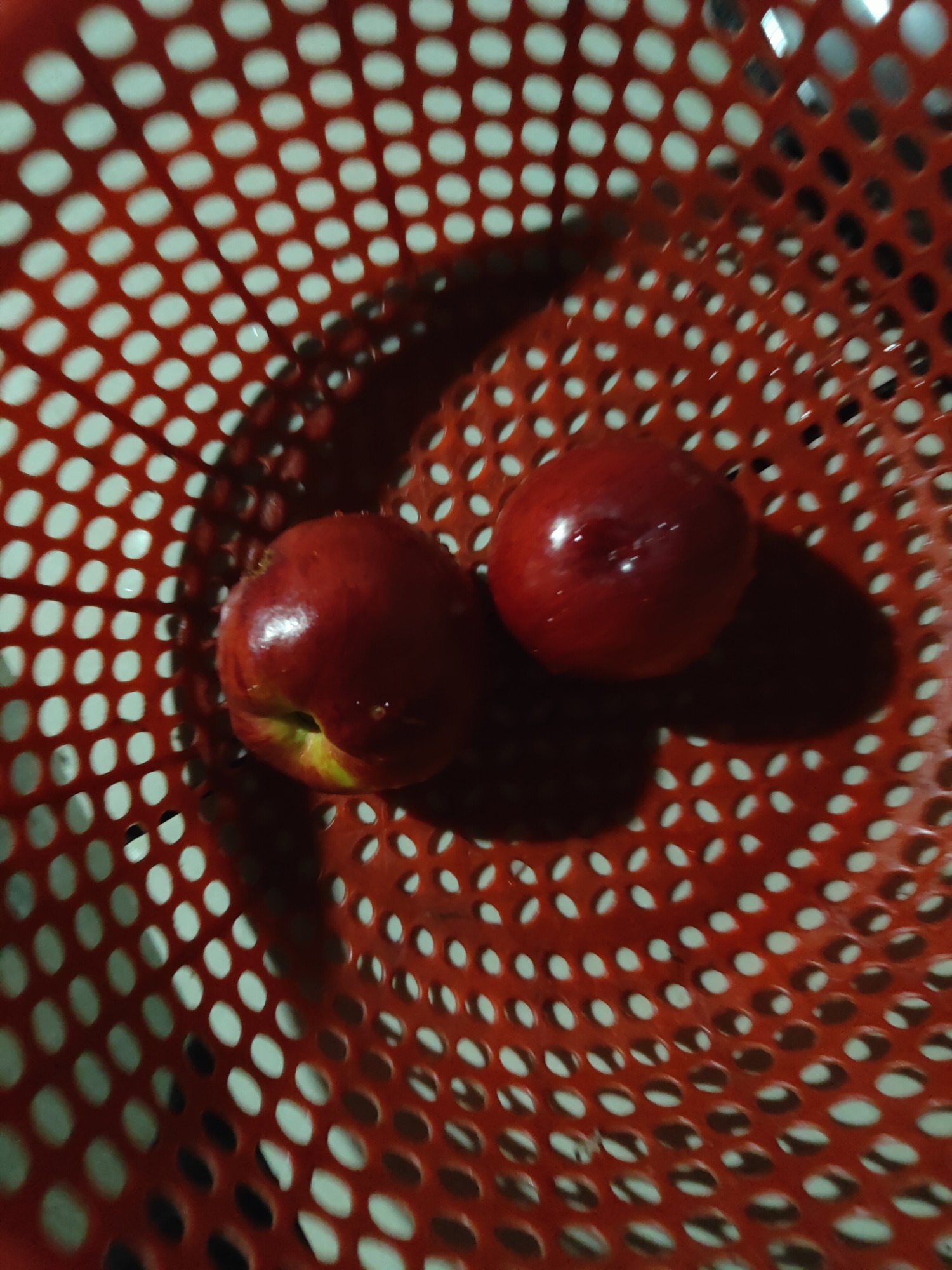 油桃