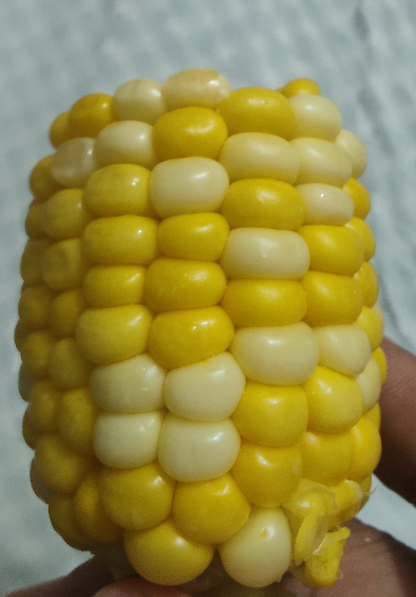 新玉米