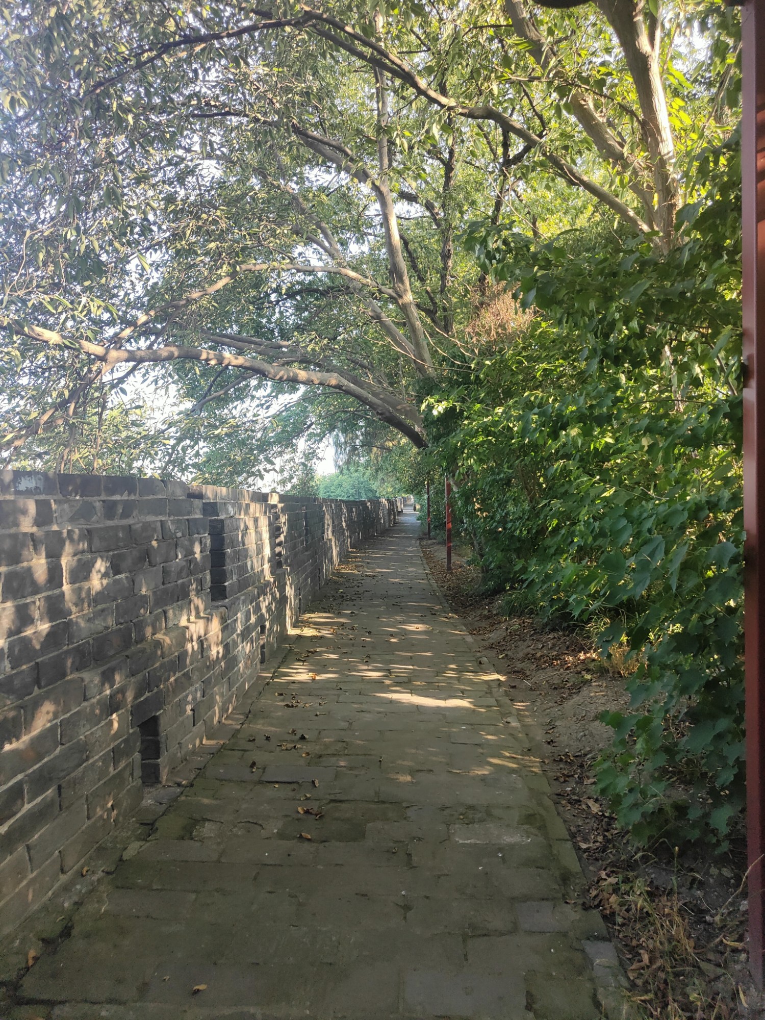 荆州古城