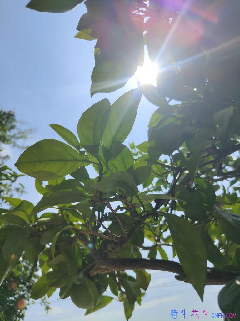 阳光