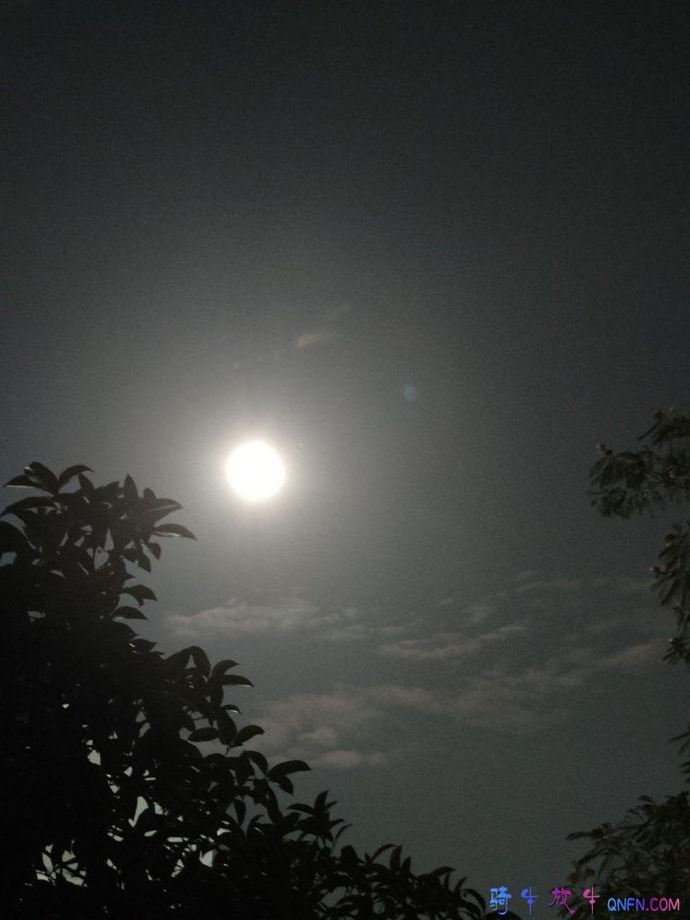 中秋月圆之夜 中秋月圆之夜