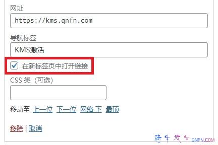 wordpress菜单中的链接在新窗口打开 wordpress菜单中的链接在新窗口打开
