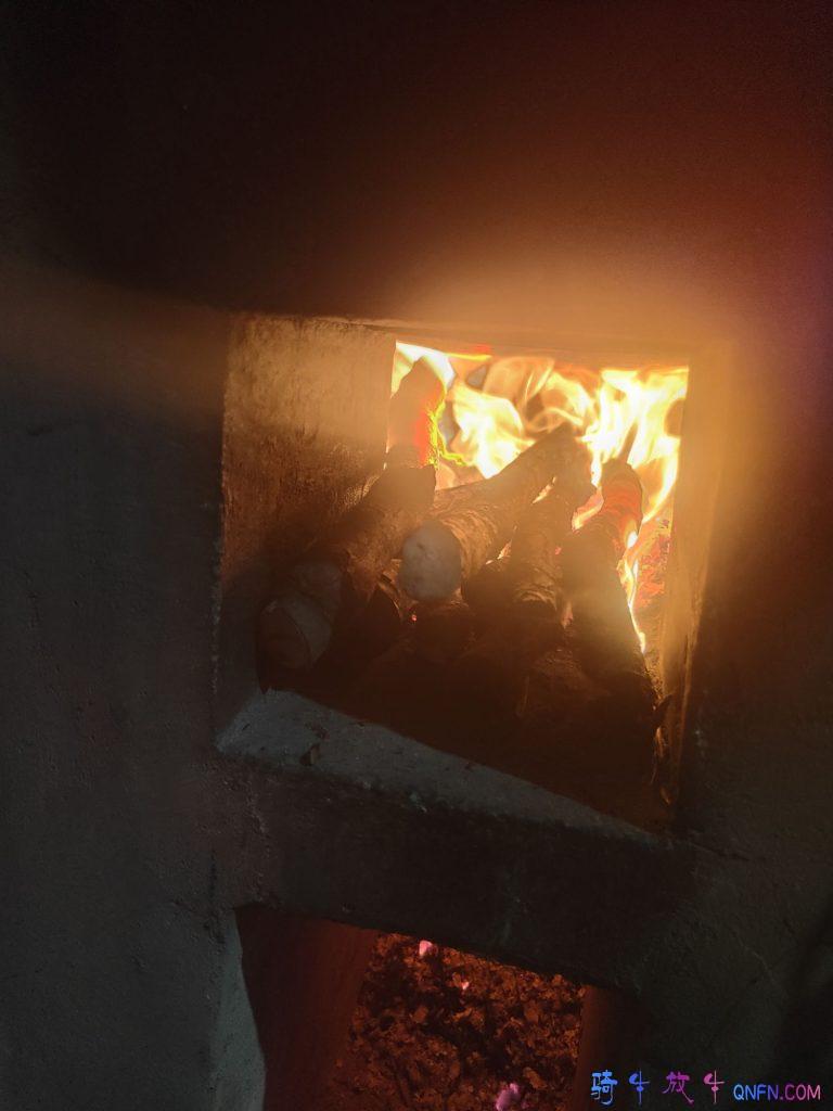 新年旺旺旺